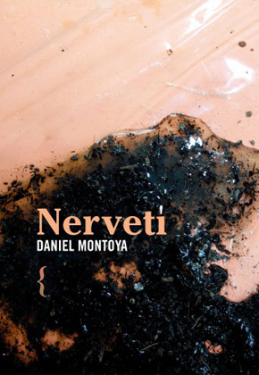 Nevertí, de Daniel Montoya (Ya lo dijo Casimiro Parker) -IMG290