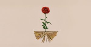 Descuentos por el mes de la escritura (rosa) -IMG1200 Newsletter (abril, 2025)