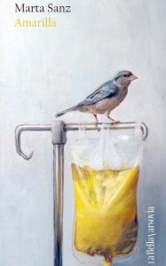 "Amarilla", de Marta Sanz -IMG623