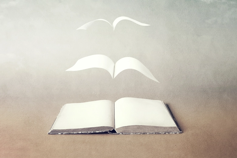 Curso empresas Narrativa estratégica para empresas libro páginas volando - IMG780
